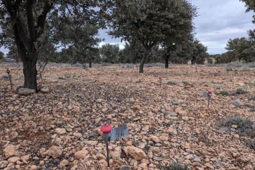 Gúdar-Javalambre instará al Gobierno de Aragón a crear una delegación del Cita especializada en Leiodes en Sarrión