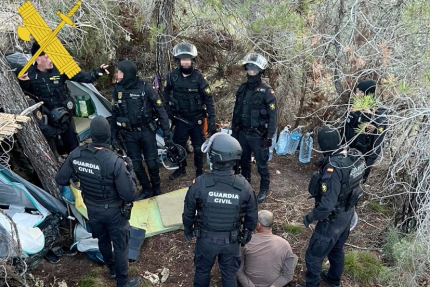 La Guardia Civil de Teruel desmantela una plantación de marihuana con 4.325 plantas y detiene a una persona en Fuentespalda