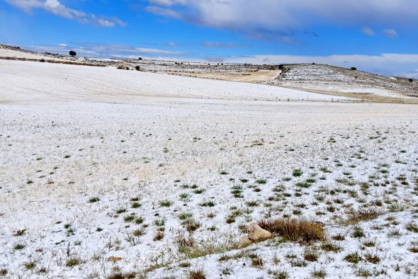 El granizo daña el 80%  del cereal que sobrevivió  a la sequía en Ojos Negros