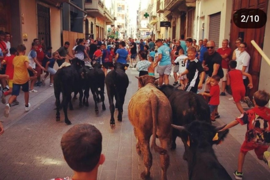 Las calles del Centro Histórico de Teruel acogen un encierro infantil con reses mansas