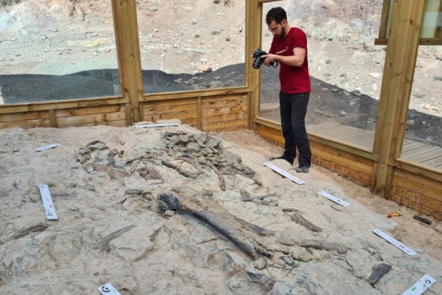 La provincia de Teruel se erige como un paraíso de los estegosaurios en Europa
