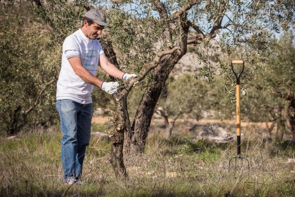 La financiación participativa se erige como una gran herramienta de desarrollo rural