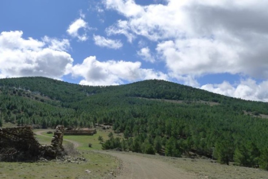 El proyecto Reconecta sobre terrenos forestales se presenta este martes en Teruel