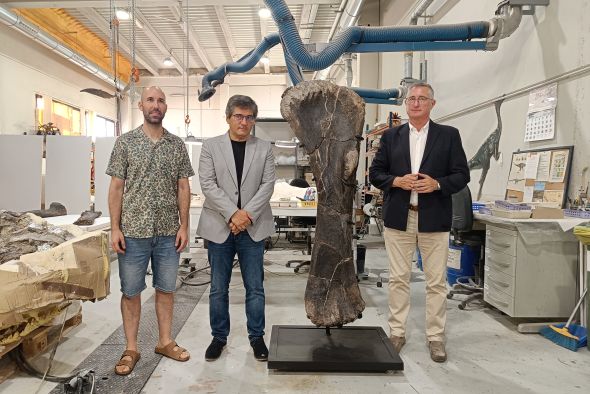 La Fundación Dinópolis muestra fósiles excepcionales de otro de los dinosaurios saurópodos más grandes de Europa y del estegosaurio 'Dacentrurus armatus'