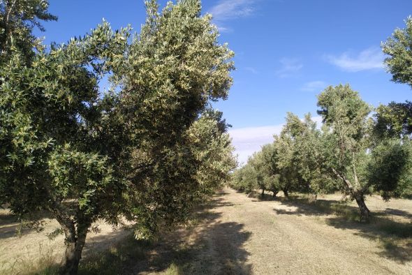 Agricultores ecológicos de Aragón denuncian su “exclusión” de las ayudas de la PAC