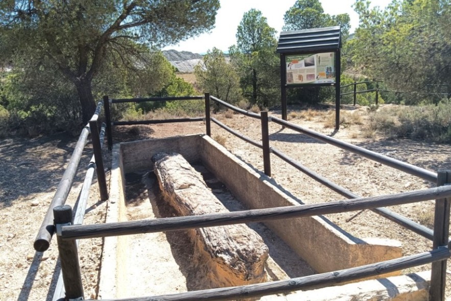 La Fundación Dinópolis renueva la museografía del yacimiento de troncos fósiles El Barranquillo en Castellote