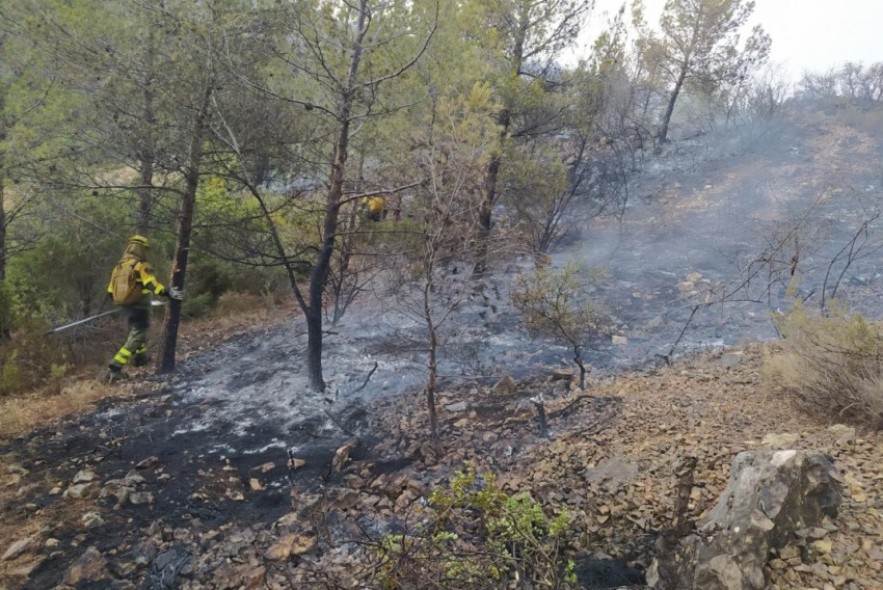 El operativo forestal controla varios incendios causados por la caída de rayos de una tormenta