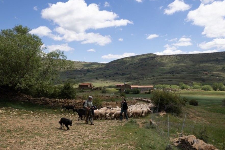 Cantavieja acogerá un curso de la UVT sobre el reto del patrimonio masovero