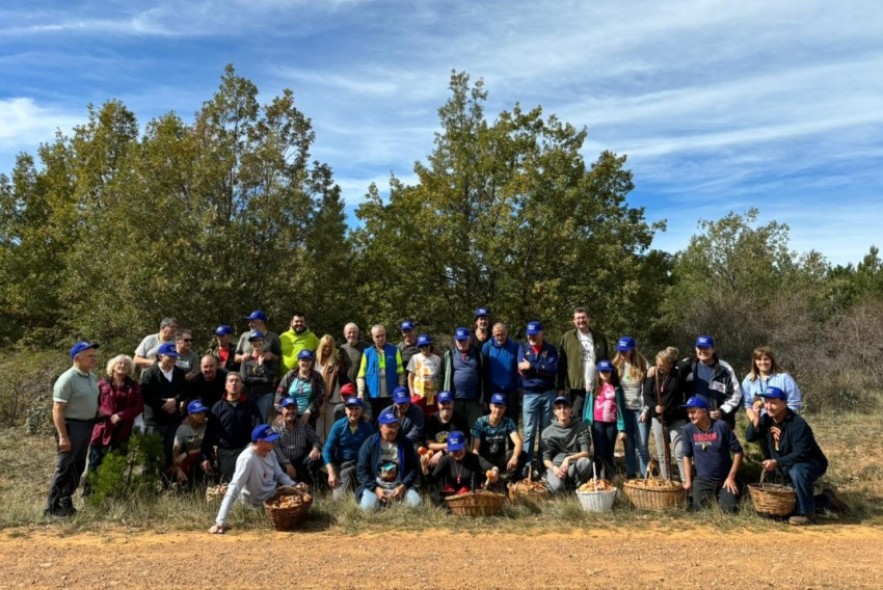 Más de 80 personas participan en el Día  de las Setas de Muniesa el sábado pasado