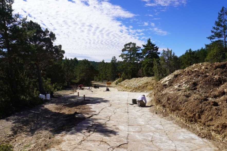 La Fundación Dinópolis descubre más de 50 nuevas huellas de dinosaurios carnívoros en el yacimiento Mas de Pérez de Mosqueruela