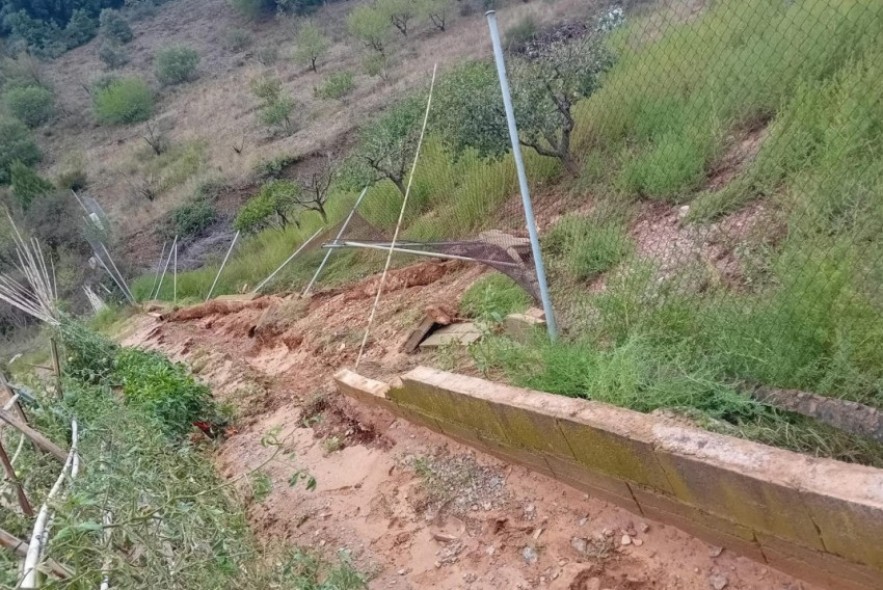 Agricultores y ganaderos de Báguena reclaman soluciones urgentes a los daños de las últimas tormentas, que estiman en 600.000 euros