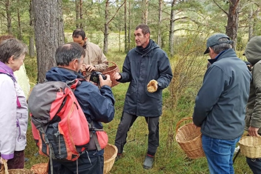 Las setas de otoño, protagonistas de las jornadas gastronómicas de la Sierra de Albarracín