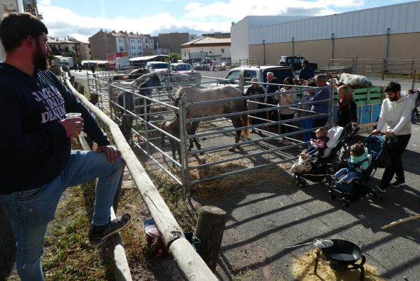 Unos 50 expositores participarán en  la Feria Ganadera y Artesanal de Mora