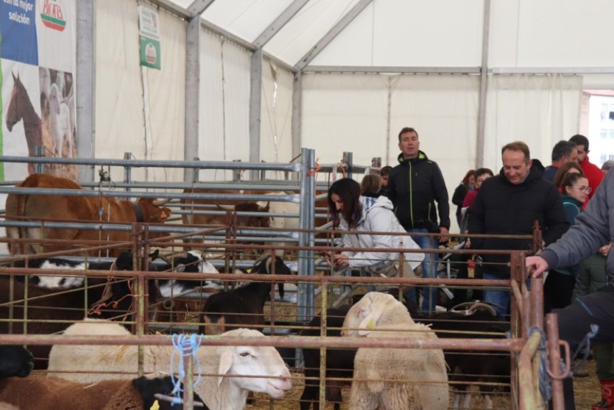 La Feria de Mora cierra un fin de semana de éxito a pesar de la lluvia