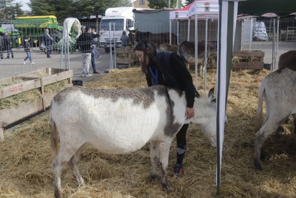 La XLI edición de ExpoCalamocha arranca con un minuto de silencio y un marcado carácter local