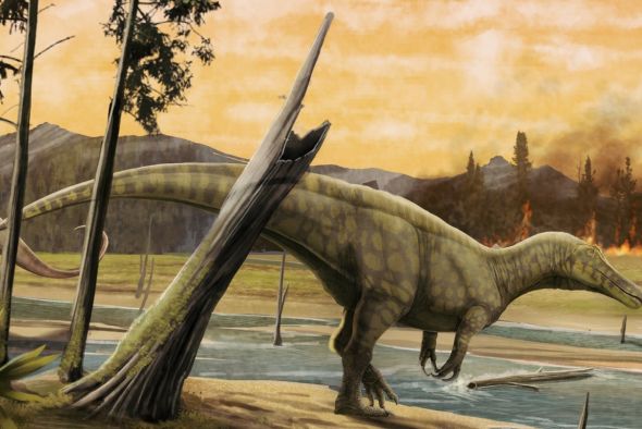 Tres dientes revelan la diversidad de dinosaurios carnívoros con hocico de cocodrilo en Teruel