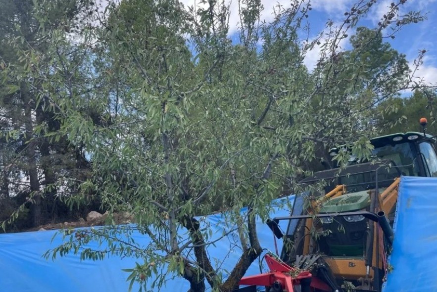 El PSOE en la Comarca Bajo Aragón muestra su rechazo a la exclusión de los cultivos leñosos en las ayudas contra la sequía del Gobierno de Azcón