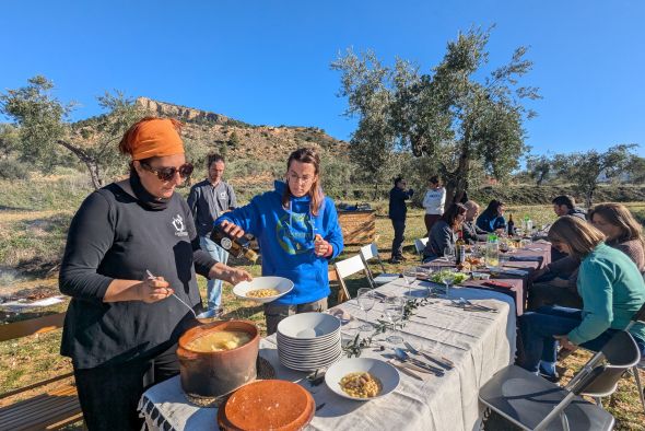 Alloza quiere poner en valor su singular oliva royal con una experiencia oleoturística en el campo