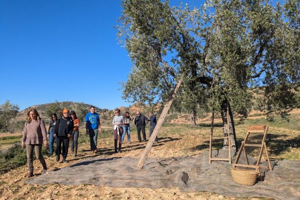 Un árbol vecero, poco productivo y muy resistente a la sequía