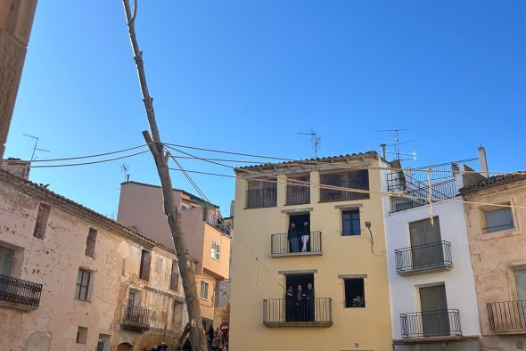 Castelserás alza el chopo para dar vida  a su monumental hoguera de San Sebastián