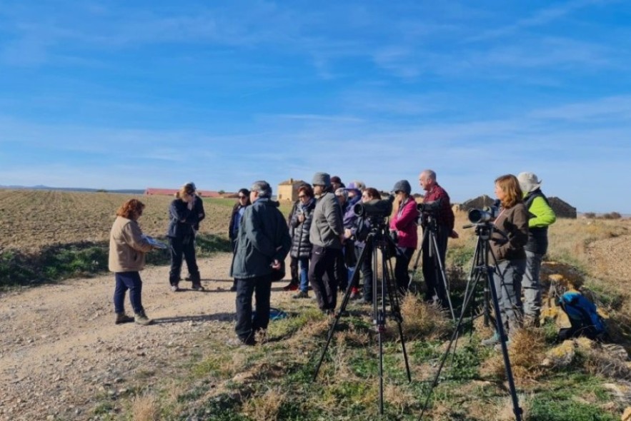 Regresan las rutas con las grullas a la Reserva Natural Dirigida de la laguna de Gallocanta