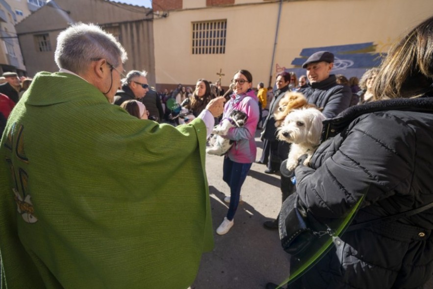 Tortugas, gatos, caballos, canarios y muchos perros son bendecidos en la ermita de San Julián