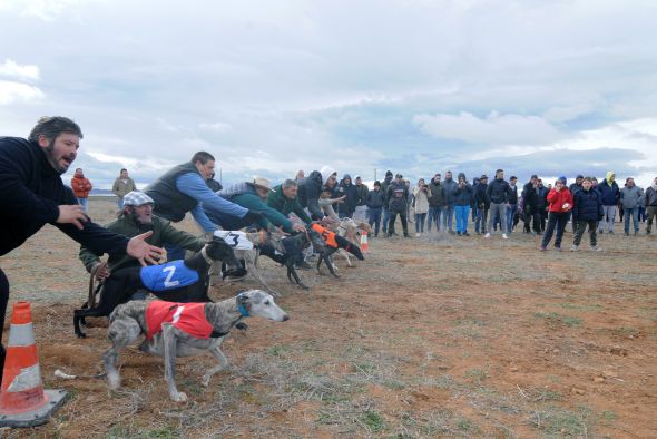 Los perros protagonizan parte del programa de  la XXIII edición de Captur