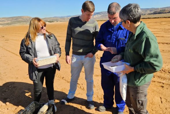 El proyecto Siembra Teruel ensaya variedades locales de almortas y lechugas