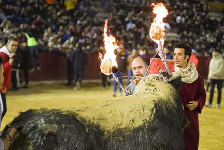 Morenito de Aranda, matador de toros: “Miura es una ganadería legendaria, mítica, con una personalidad única, es muy especial para Teruel”