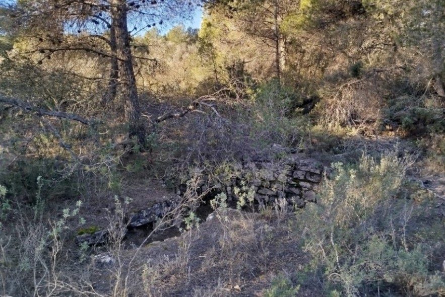 Comienza la restauración de las balsas históricas de Arens de Lledó con una alta participación