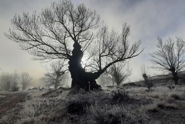 El Parque Cultural del Chopo Cabecero lanza la cuarta edición de su premio fotográfico