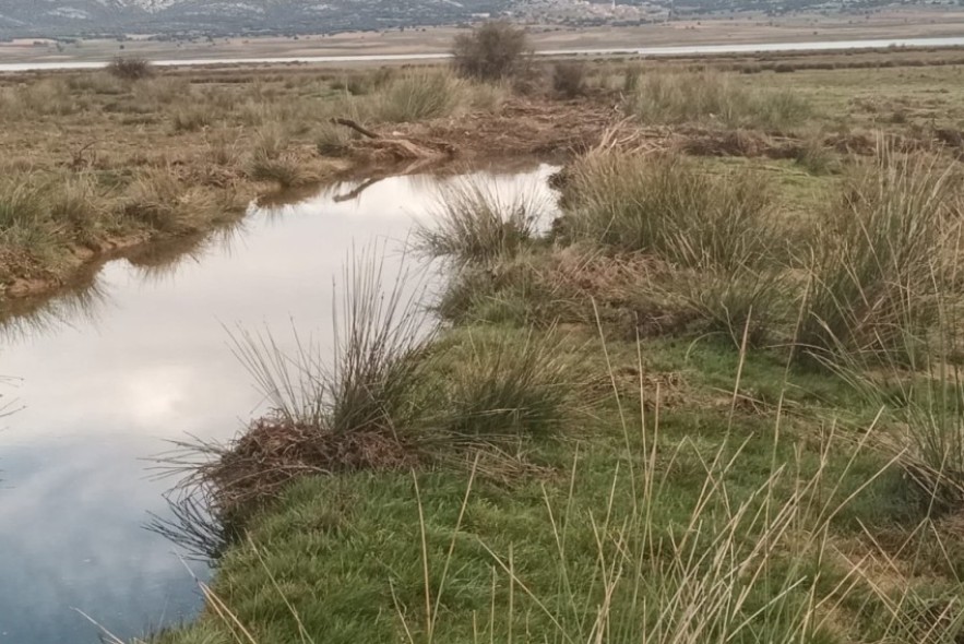 Alertan de un tapón tras la dana en la rambla de los Pozuelos, en Bello