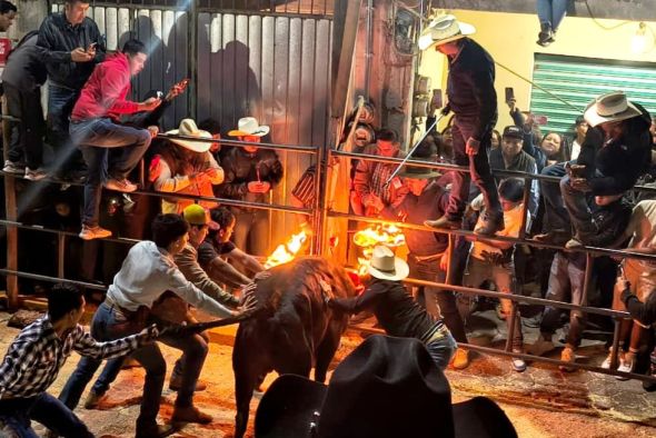 México hace historia con la embolada de dos toros en las calles de San Cosme Xaloztoc