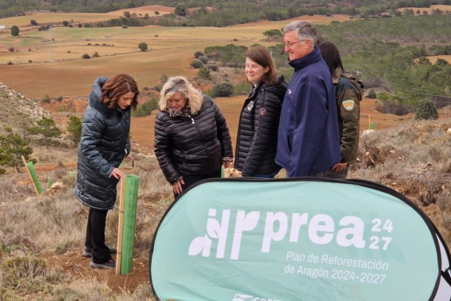 La reforestación en Teruel capital se amplía a 70 hectáreas y la plantación se completará esta primavera