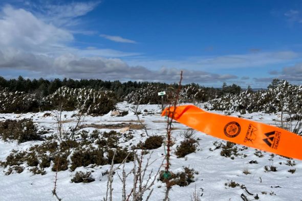 Todo listo para el VIII Trail Villarroya de los Pinares del domingo