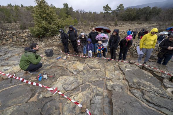 Los reptiles voladores irrumpen en  El Castellar al hallar fósiles de huesos de un pterosaurio entre las icnitas