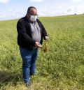 El balance del granizo en la zona de Campo Romanos: unas 4.000 hectáreas de cereal arrasadas
