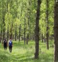 La comarca Sierra de Arcos recupera el camino natural de la romería al Monasterio del Olivar