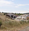 El Gobierno de Aragón reitera que el brote de brucelosis detectado en mayo en La Puebla de Valverde está contolado