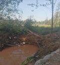 Los dueños de fincas junto al río Alfambra piden que se limpie el cauce para evitar inundaciones