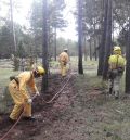 Varias comarcas de la provincia unen fuerzas para evitar  la fusión de las cuadrillas forestales