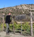 El enólogo Manuel Roldán vendimiará este año los viñedos que cultiva en Camarena, a 1.500 metros de altura