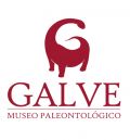 Galve quiere reivindicarse como punto pionero de los dinosaurios con su nuevo Museo Paleontológico