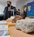 La exposición itinerante sobre el Geoparque del Maestrazgo se puede ver en el Museo de Ciencias Naturales de la UZ