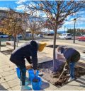 Éxito de participación en el programa de acciones del proyecto de compostaje doméstico en Gúdar-Javalambre