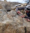 Camarillas arroja nuevos hallazgos paleontológicos de importancia sobre dinosaurios