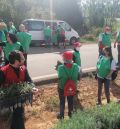 Cruz Roja culmina su plantación en San Blas con alta participación