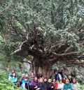 Gúdar-Javalambre organiza un curso de botánica práctica para difundir el patrimonio natural de la comarca