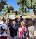 La Comarca del Bajo Aragón lleva a 40 vecinos a conocer las oliveras de la variedad Manzanella