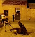 El Partido Animalista Pacma critica el trato a una vaquilla en un festejo taurino en Albarracín